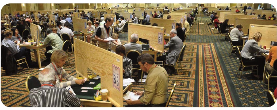 briç kursu fiyatlari